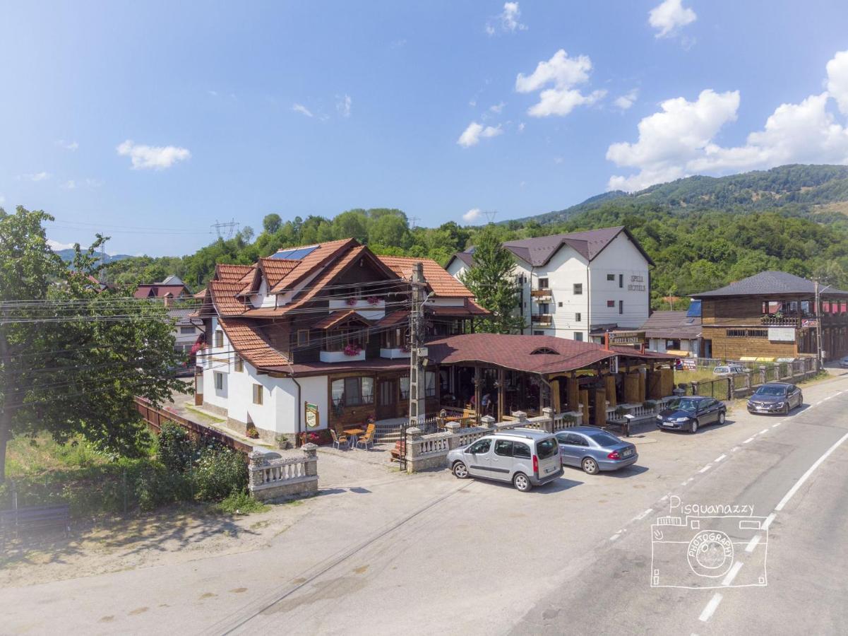 Pensiunea Bella Vista Arefu Bagian luar foto